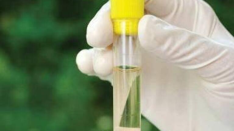 Environmental Analysis Solutions