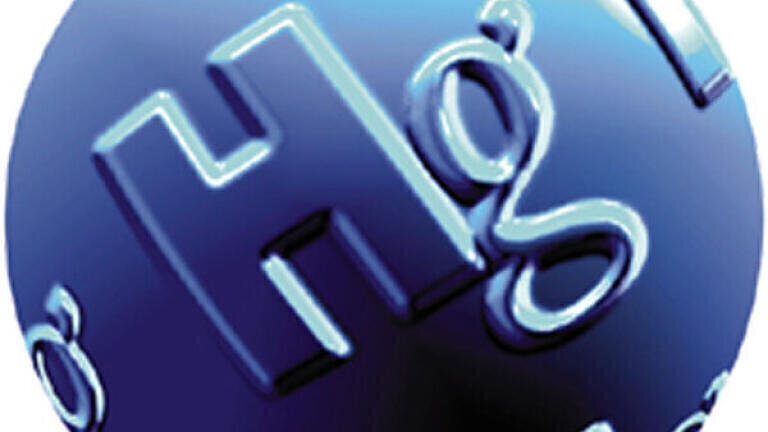 Mercury and Petrochemicals - Experience, Performance, Reliability and Support