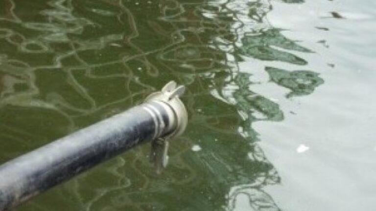 Grassland Dairy fined over wastewater discharges