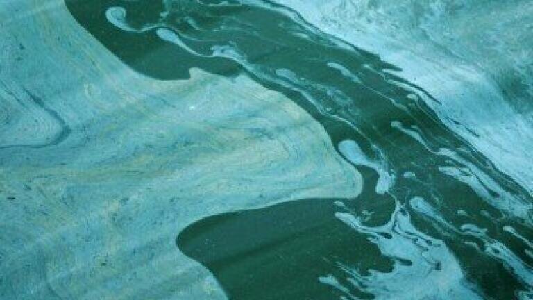 Bath University creates cheap water quality tool