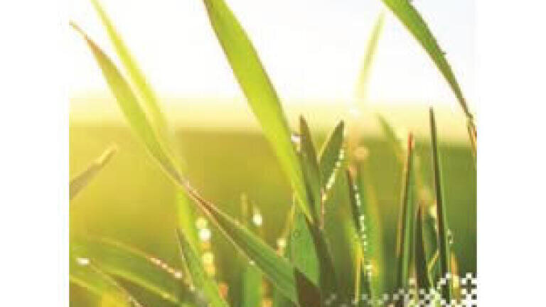 Waters Environmental Analysis Solutions