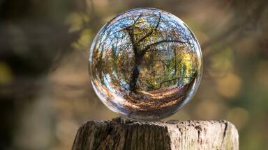 What is Environmental Monitoring?