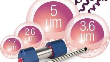 Expanded Core-Shell Column Line to Include a 5 µm Particle Size for Small-Scale Purifications