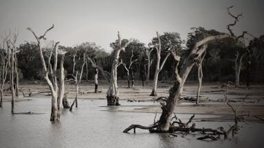 What are the Different Types of Floods?