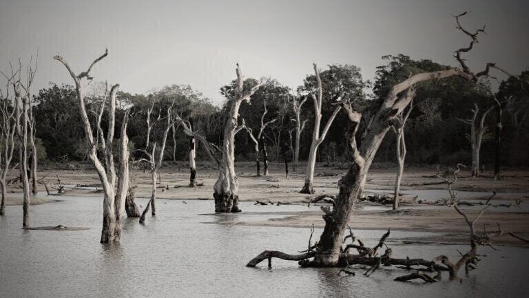 What are the Different Types of Floods?