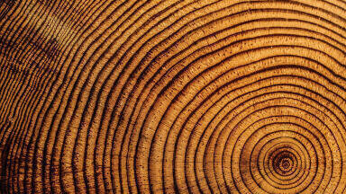 How to Take a History Lesson from Mother Nature