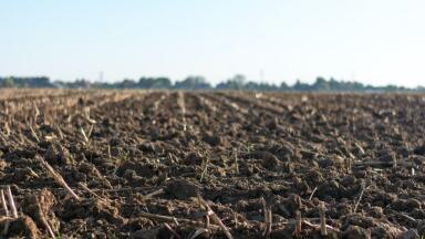 What is Soil Contamination? And Why Does It Happen?