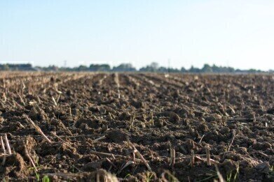 What is Soil Contamination? And Why Does It Happen?