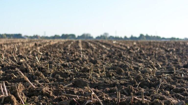 What is Soil Contamination? And Why Does It Happen?