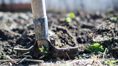 How Does Contaminated Soil Affect the Environment?
