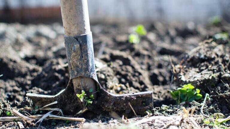 How Does Contaminated Soil Affect the Environment?