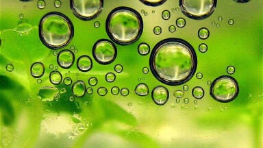 How Much Greenhouse Gas Do Biofuels Produce?