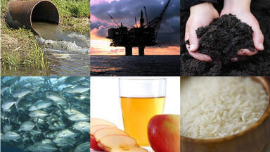 Analytical Determination of Mercury, Arsenic and Selenium from Environmental, Petrochemical and Industrial Samples