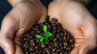 The ABCs of Sustainable Development