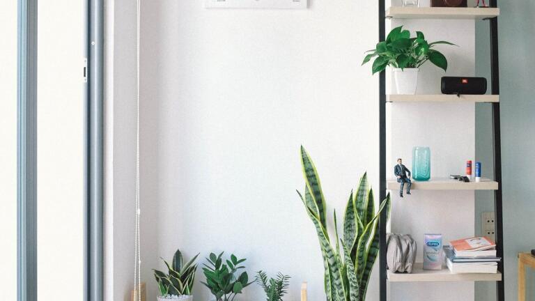 Why are Indoor Air Quality Standards So Important?