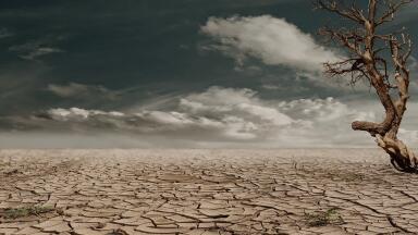 Is the Worst Drought in 1000 Years about to Hit the United States?