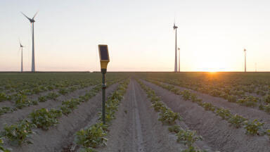 Dutch Sampling Companies Join Forces