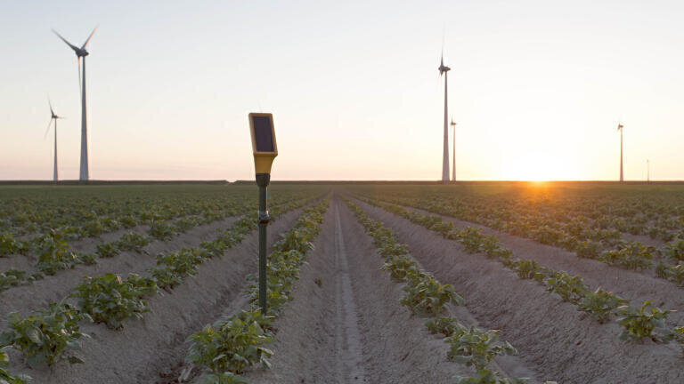 Dutch Sampling Companies Join Forces