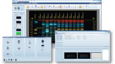 Qualitative and Quantitative HPTLC Analysis