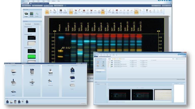Qualitative and Quantitative HPTLC Analysis
