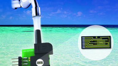Monolithic MEMS Mass Flow Sensor for Liquids and Gases