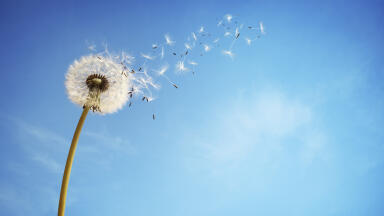 Air Monitoring Solutions to Help You Breathe Easy