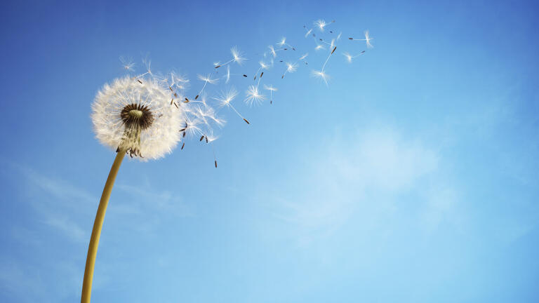 Air Monitoring Solutions to Help You Breathe Easy