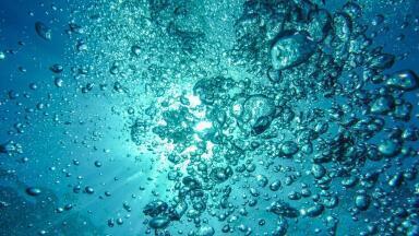What Happens to Data Collected from Water Quality Monitoring?
