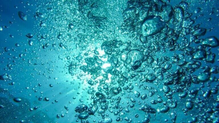 What Happens to Data Collected from Water Quality Monitoring?