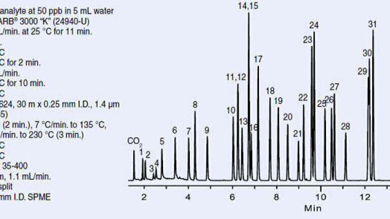 Avoid the Sample Capacity Pitfall when Converting Volatile Methods to Fast GC  