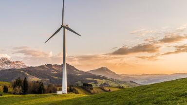 10 Reasons to Be Cheerful about the Environment