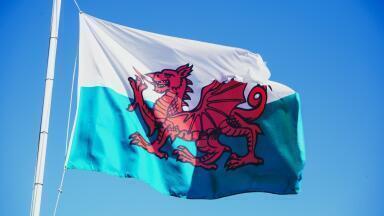 What is the Welsh Government’s Environmental Bill? And When Will it Launch?