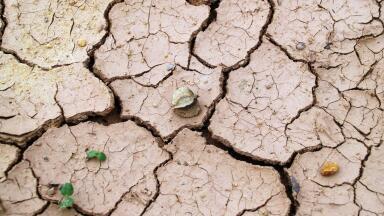 What Happens if We Run Out Of Water?