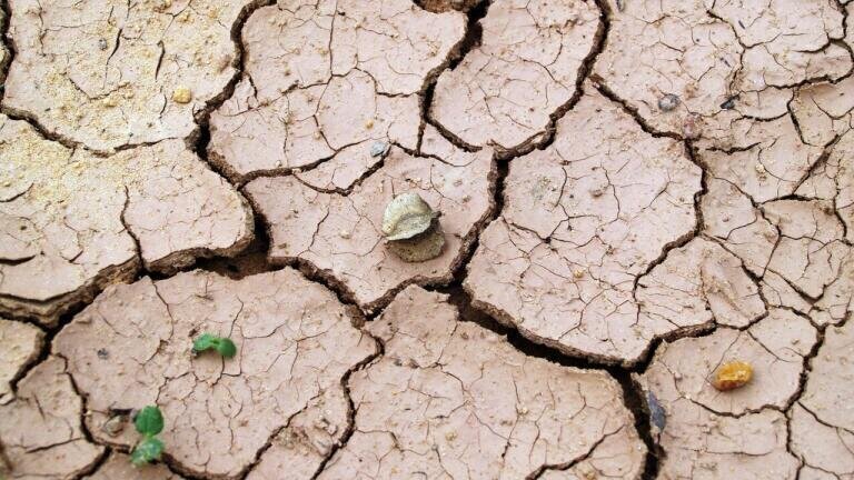 What Happens if We Run Out Of Water?