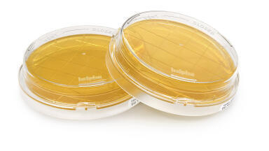 New Contact Plates for Improved Detection of Microorganisms on Disinfected Surfaces in Isolators and Cleanrooms