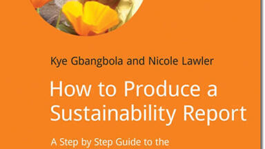 New Book - "How to Produce a Sustainability Report"