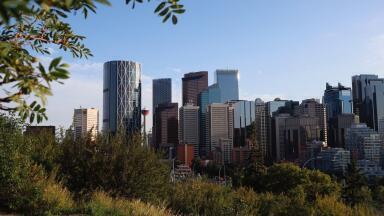 Spider Distorts Air Quality Readings in Canada