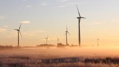 Why Are Customers Ditching the Big Six Energy Companies?