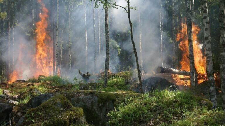 Forest Fire Pollution Mars Singapore Grand Prix as Levels Reach Highest of the Year