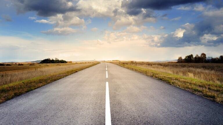 Why Roads Are Bad for the Environment