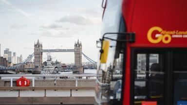 Public Transport – the Answer to Environmental Pollution?