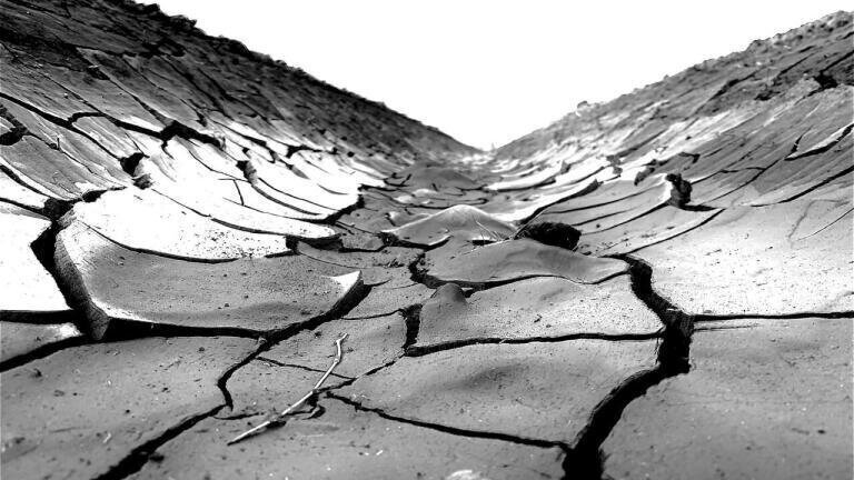 How Can Data Reduce the Impact of Drought on California?