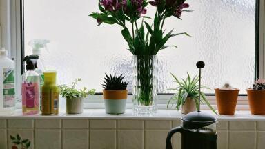 Should I Use Technology to Monitor the Environment from Home?