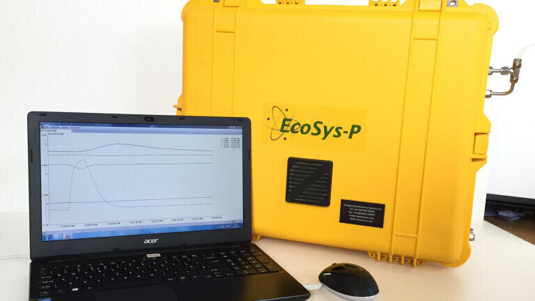 Real Time, Low Level Monitoring Made Easy