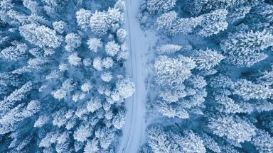 What is Frozen Fuel?