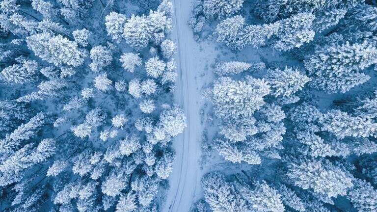 What is Frozen Fuel?