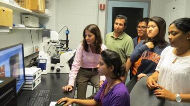 AFM System Demonstrates Multiple uses in the Smart Interfaces in Environmental Nanotechnology Group