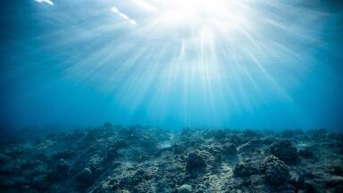How to Grow an Electrified Oyster Reef in 5 Years