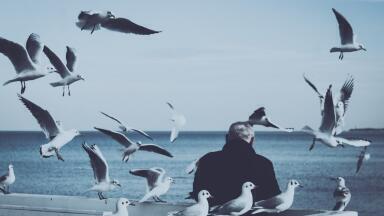 Can the Hookpod Save 300,000 Seabirds a Year?