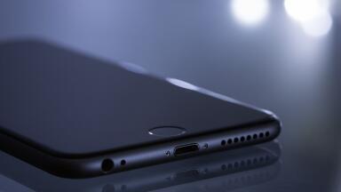 iPhones Don’t Grow On Trees… Or Do They?